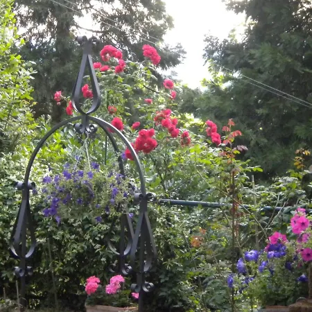 I 7 Camini Bed and Breakfast